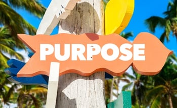 purpose.jpg