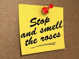 roses.jpg