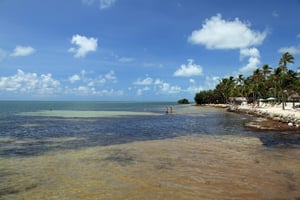 shutterstock_82045846.jpg