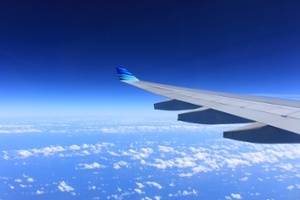wing-221526_1280-3.jpg