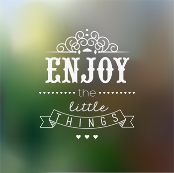 enjoy
