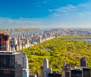 centralpark.jpg