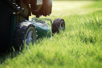 mowinglawn.jpg