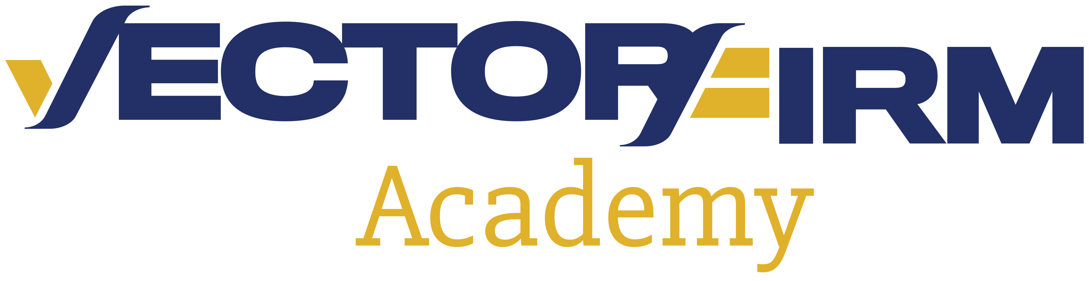 vectorFirmAcademy_FC